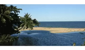 Praia dos rios dos mangues Praia dos rios dos mangues