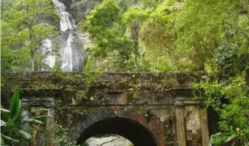Floresta da Tijuca Floresta da Tijuca
