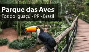 Parque das aves Parque das aves